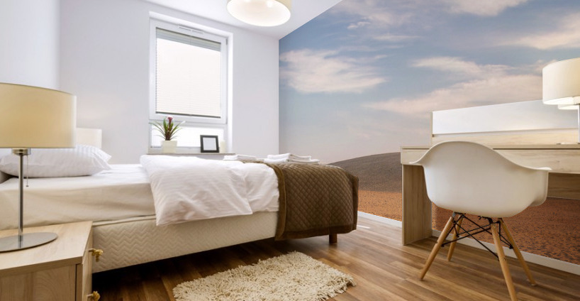 Sandbox Mural print