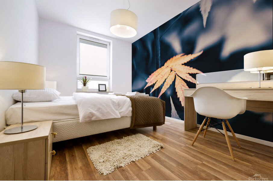 a warm glimpse Mural print