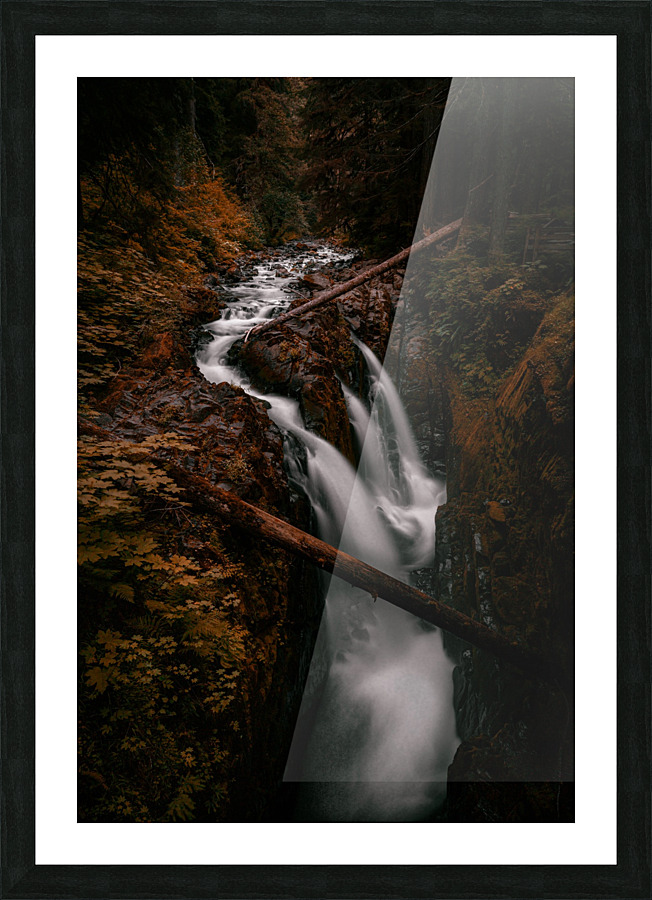 Golden Dreams Picture Frame print