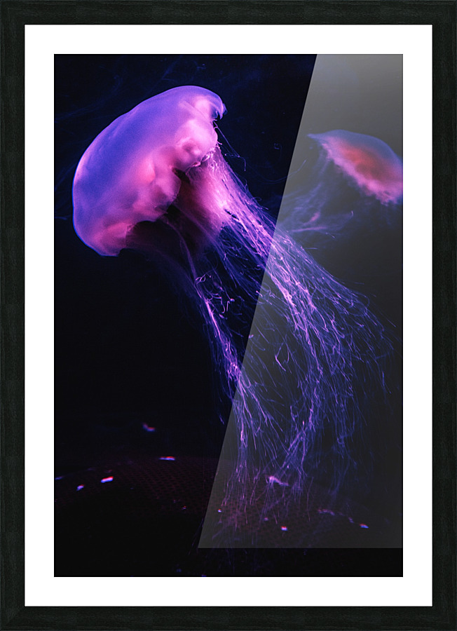 Neon Jelly Picture Frame print
