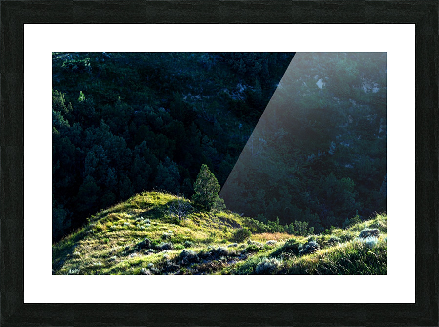 Lonesome Tree Picture Frame print