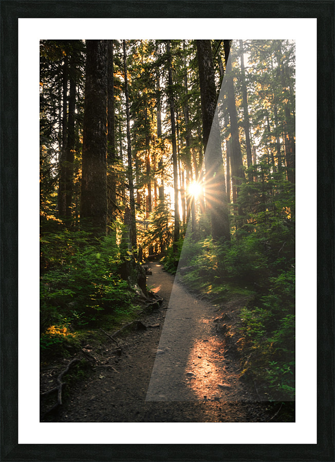 Wayfinder Picture Frame print