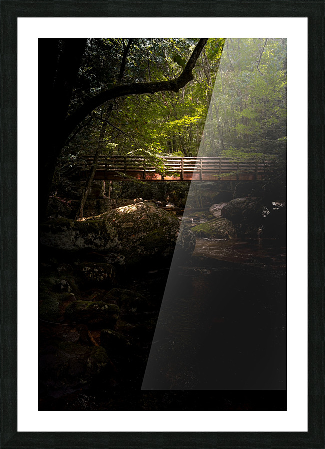 Bridging the Gap Picture Frame print