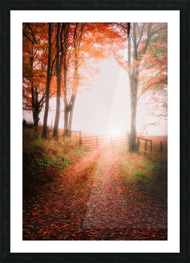 Into the Unknown -- Part 2 Picture Frame print