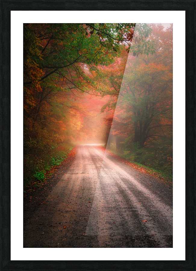 Into the Unknown -- Part 3 Picture Frame print