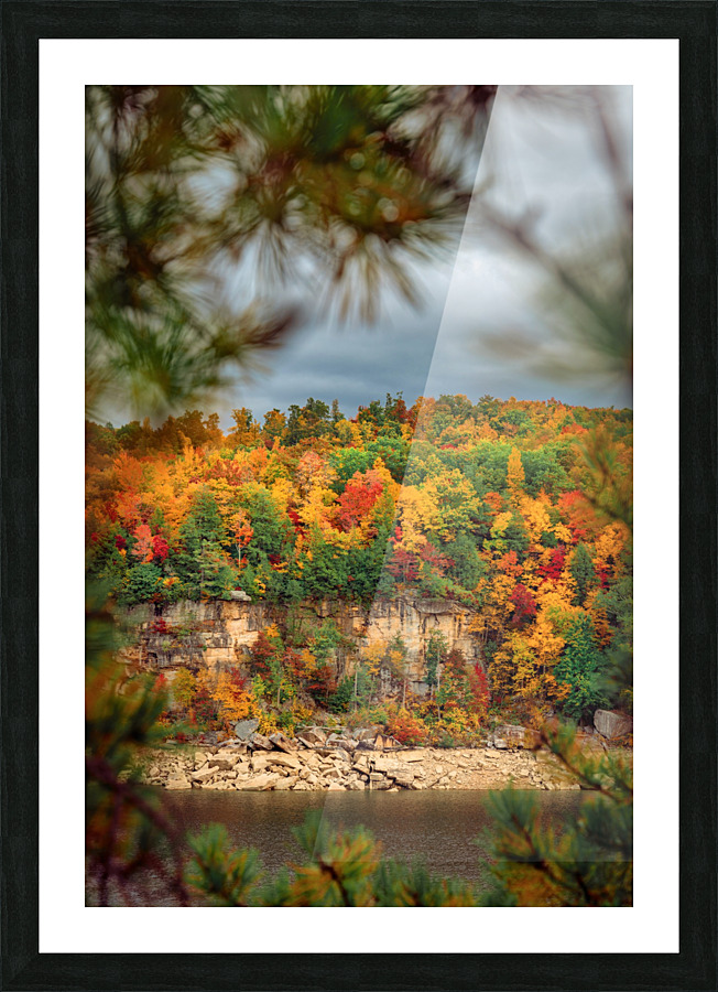 Framed Foliage Picture Frame print