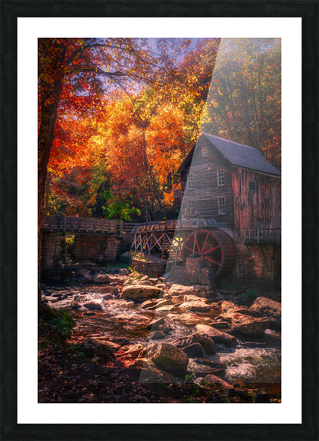 Casting Colors -- Falling leaves Picture Frame print