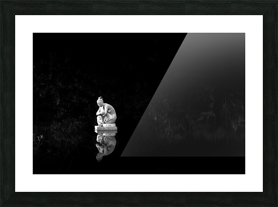 Gravity of Reflection  Picture Frame print