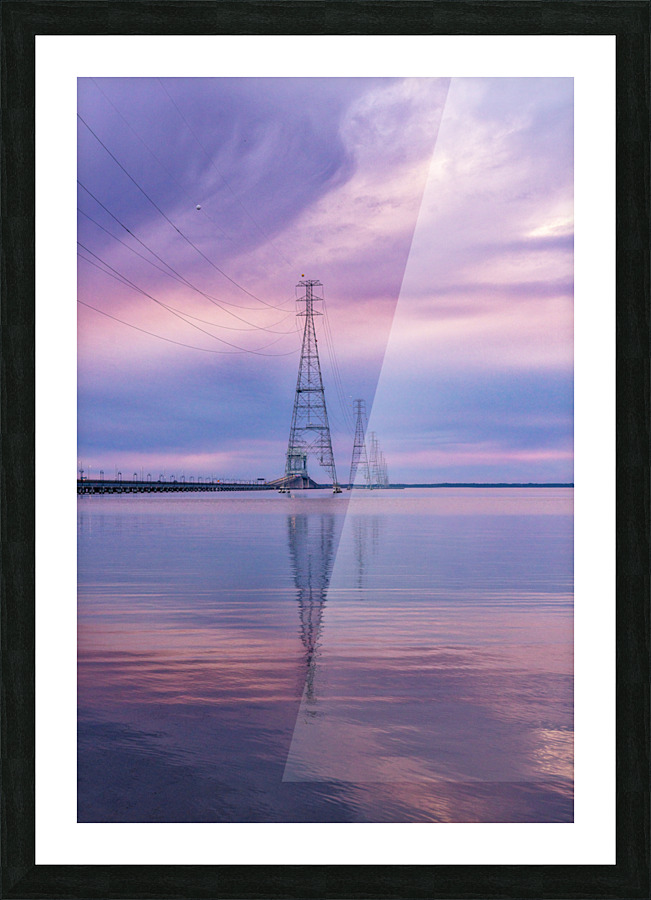 Bewildering Backbones Picture Frame print