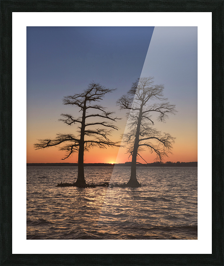 The Light Between  Picture Frame print