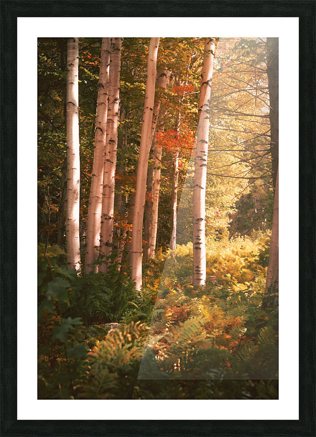 To be...profound Picture Frame print
