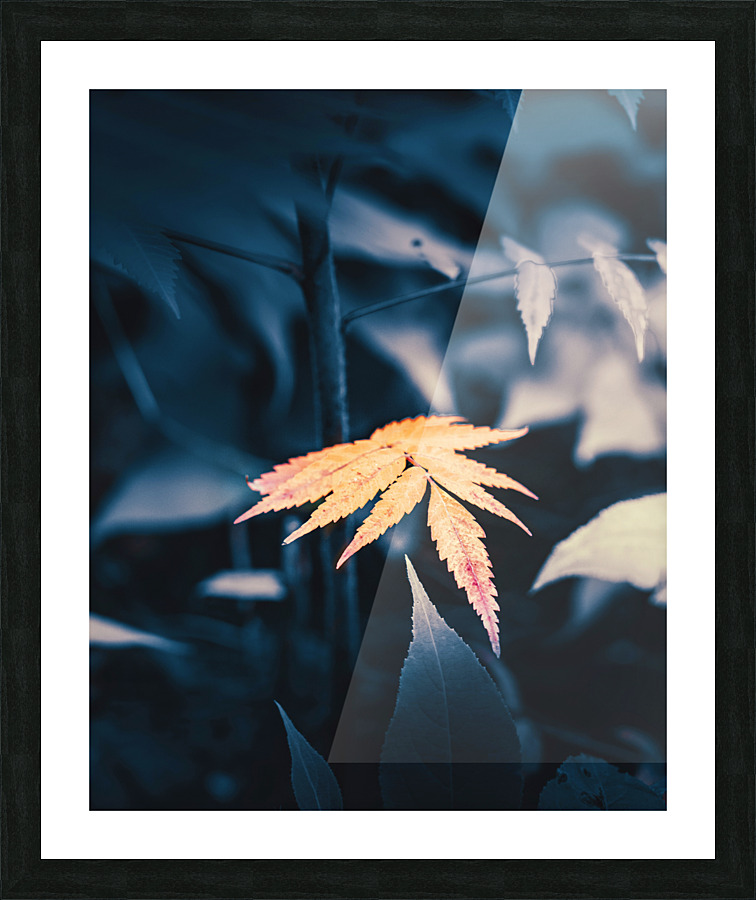 a warm glimpse Picture Frame print