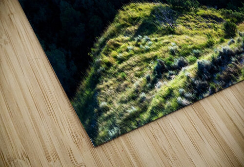 Lonesome Tree snellularr  photo puzzle