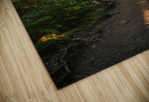 Wayfinder snellularr  photo puzzle