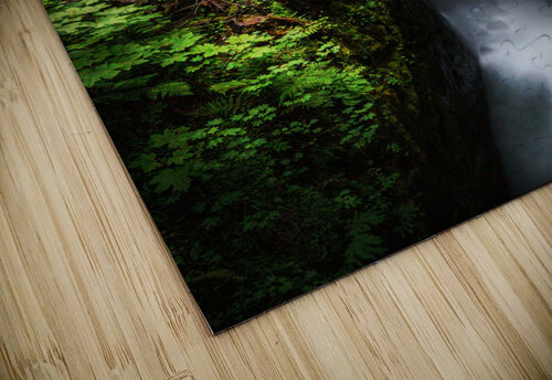 Deja Vu Daydream snellularr  photo puzzle