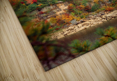 Framed Foliage snellularr  photo puzzle