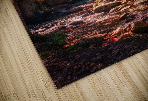 Casting Colors -- Falling leaves snellularr  photo puzzle