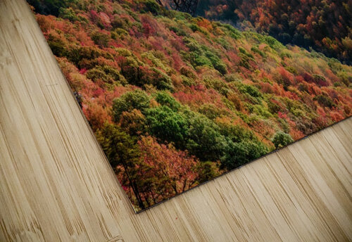 Well Gauley snellularr  photo puzzle
