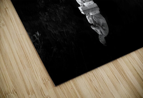 Gravity of Reflection  snellularr  photo puzzle