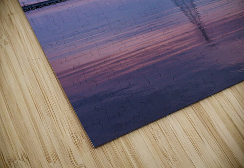 Bewildering Backbones snellularr  photo puzzle