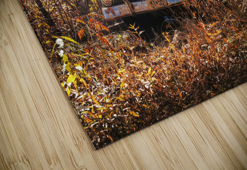 Autumn Jalopy snellularr  photo puzzle