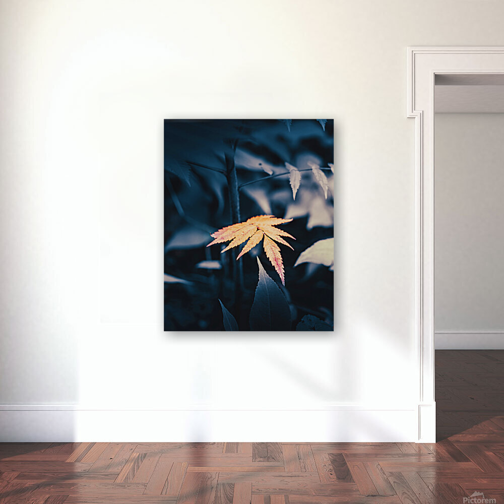 a warm glimpse Reproduction
