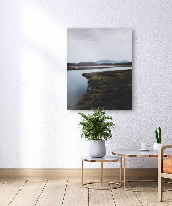 Nuance of Novelty by snellularr  photo