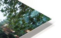 Man Akin HD Metal print