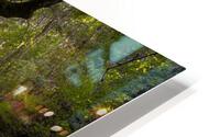 Bridging the Gap HD Metal print
