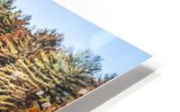 relecting on HD Metal print