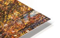 Autumn Jalopy HD Metal print