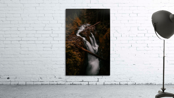 Golden Dreams Wall Preview