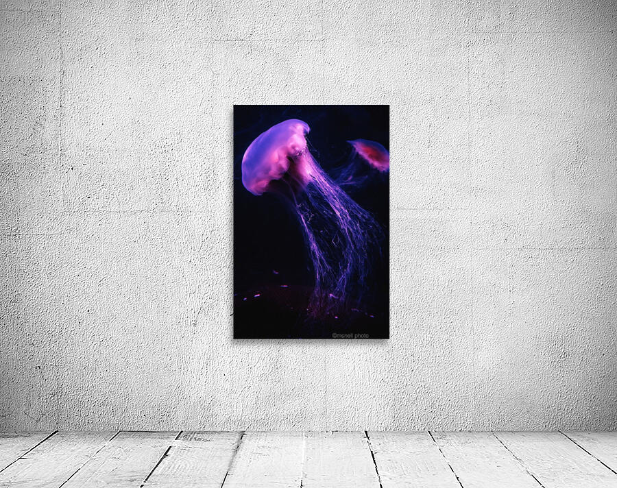 Neon Jelly Wall Preview