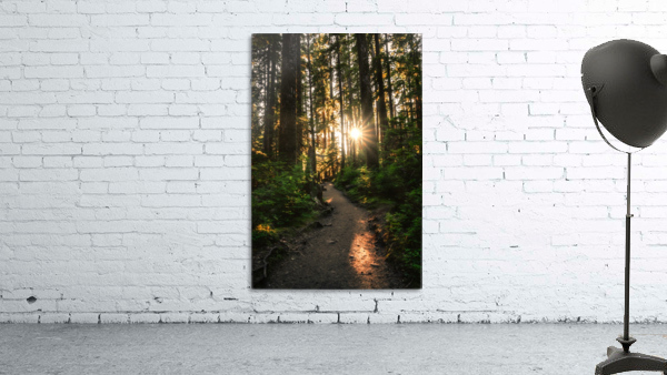 Wayfinder Wall Preview