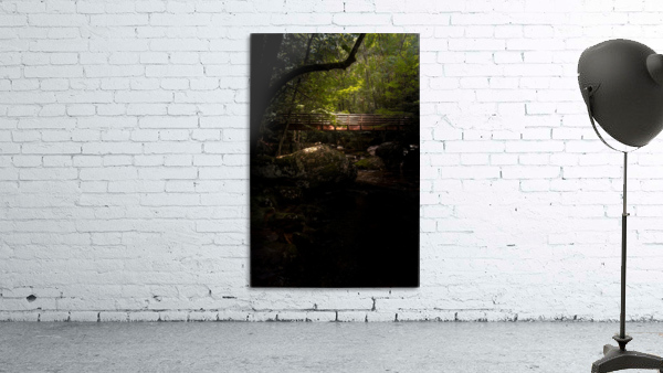 Bridging the Gap Wall Preview