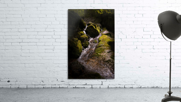 Wall Falls Wall Preview