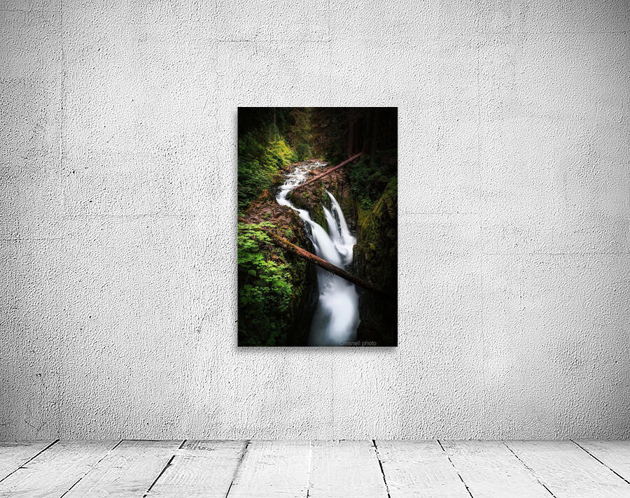 Deja Vu Daydream Wall Preview