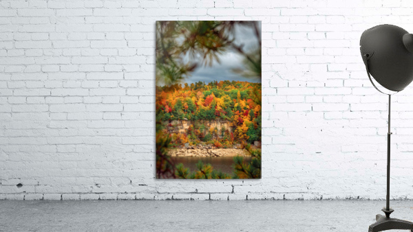 Framed Foliage Wall Preview