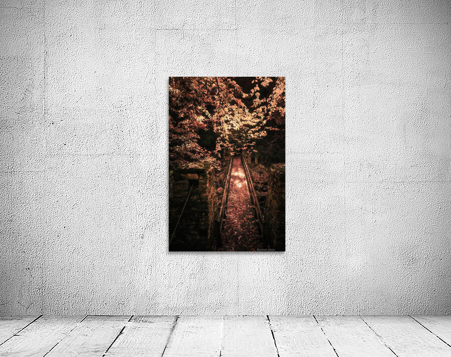 Suspended on the cusp Wall Preview
