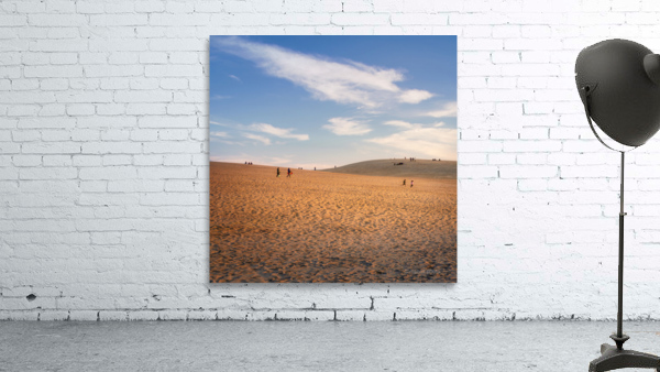 Sandbox Wall Preview