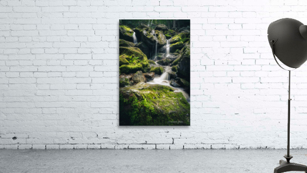 Subtle Synchronicities Wall Preview