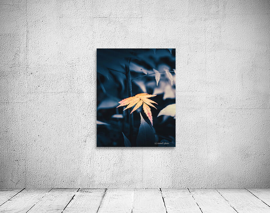 a warm glimpse Wall Preview