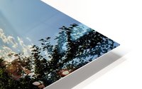 Summer Sunset HD Metal print