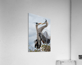  I Love You 2173 Acrylic Print