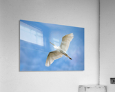 Flight  2121 Acrylic Print