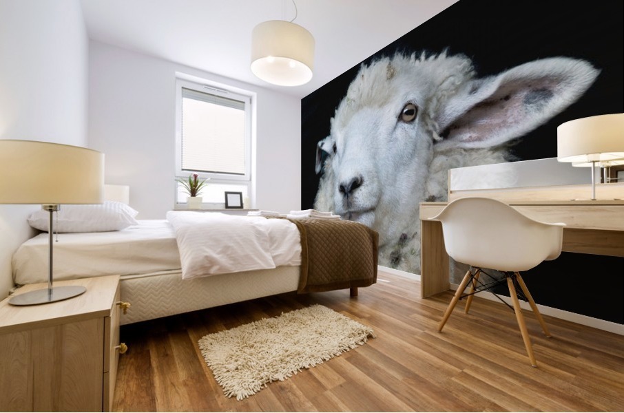 Happy Sheep 488 Mural print
