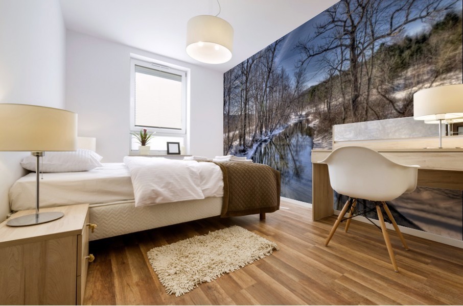 Battenkill River -winter 202 Mural print