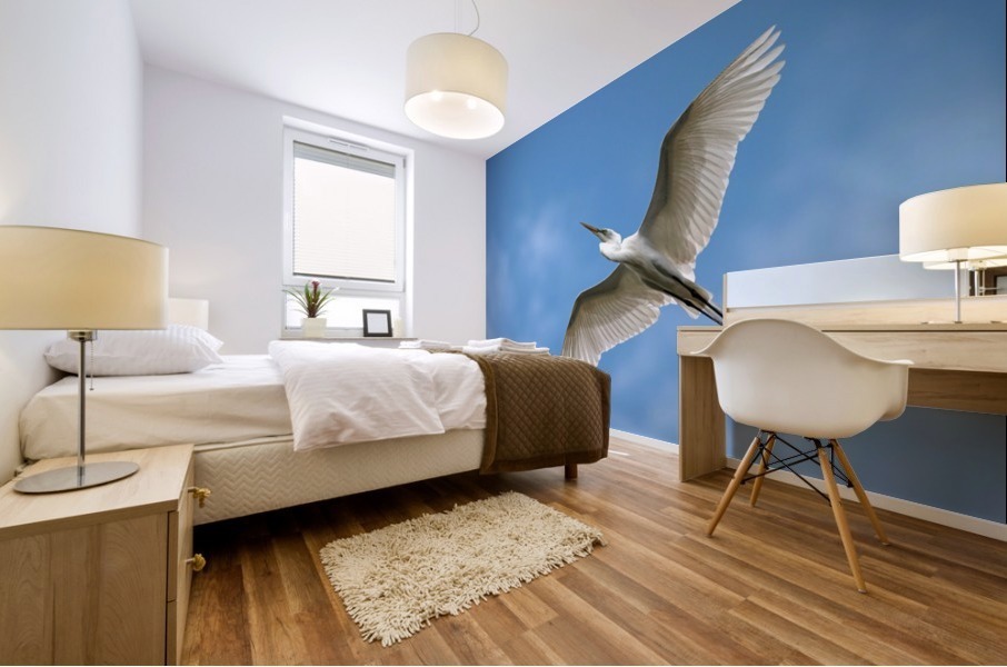 Flight  2121 Mural print