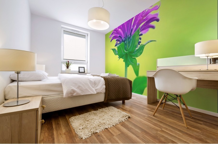 Pink  Monarda 2332 Mural print