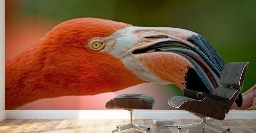 Feeding Flamingo 2372 by Matthew Lerman Wall Art